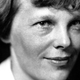 Illustration for article titled Amelia Earhart Died On a Desert Island In the Pacific, We Get It